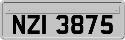 NZI3875
