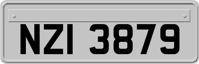 NZI3879