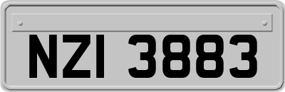 NZI3883