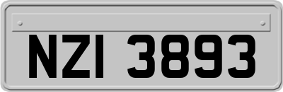 NZI3893