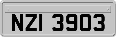 NZI3903