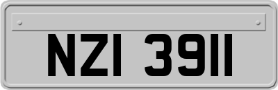 NZI3911