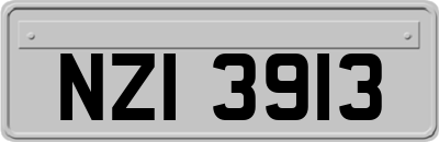 NZI3913
