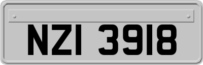 NZI3918