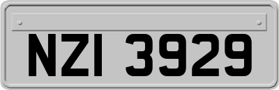 NZI3929