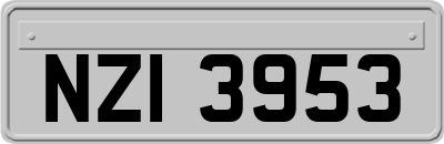 NZI3953