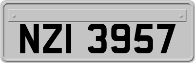 NZI3957