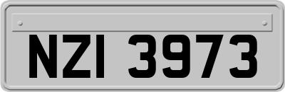 NZI3973