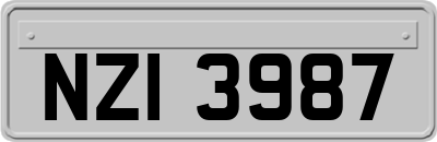 NZI3987