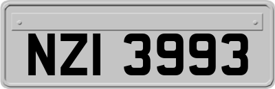 NZI3993