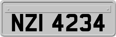 NZI4234