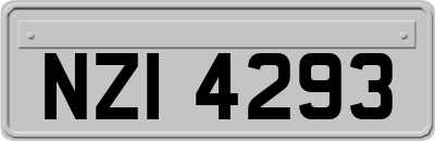 NZI4293
