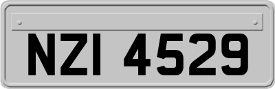 NZI4529