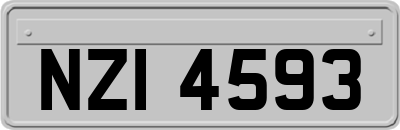 NZI4593