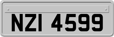 NZI4599