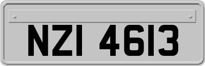 NZI4613
