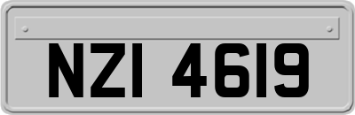 NZI4619