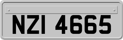 NZI4665