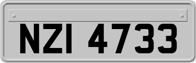 NZI4733