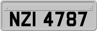 NZI4787