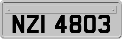 NZI4803