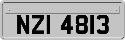 NZI4813