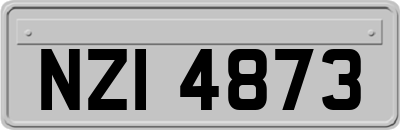 NZI4873