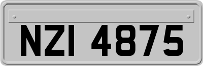 NZI4875