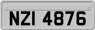 NZI4876