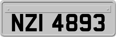 NZI4893