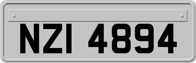 NZI4894