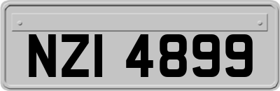 NZI4899