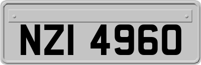 NZI4960
