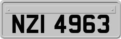 NZI4963