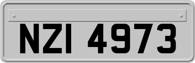NZI4973