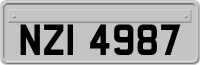 NZI4987