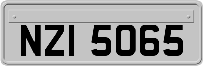 NZI5065