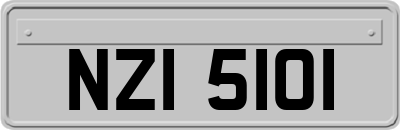 NZI5101