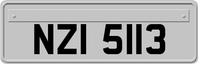 NZI5113