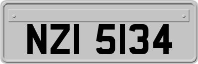 NZI5134