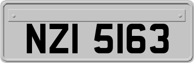 NZI5163