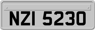 NZI5230