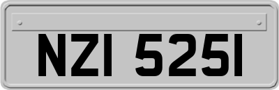 NZI5251