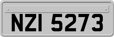 NZI5273