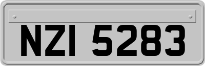 NZI5283