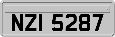 NZI5287