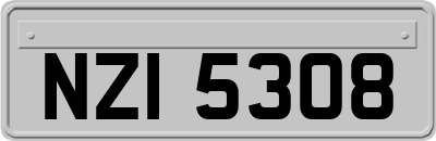 NZI5308