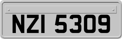 NZI5309