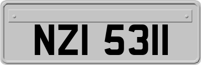 NZI5311