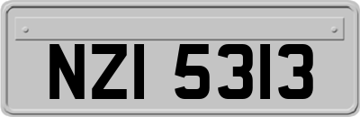 NZI5313